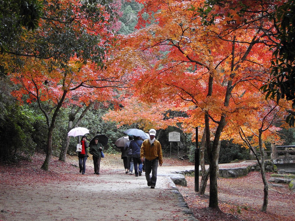 Autumn colours on Miyajima Island Japan.jpg