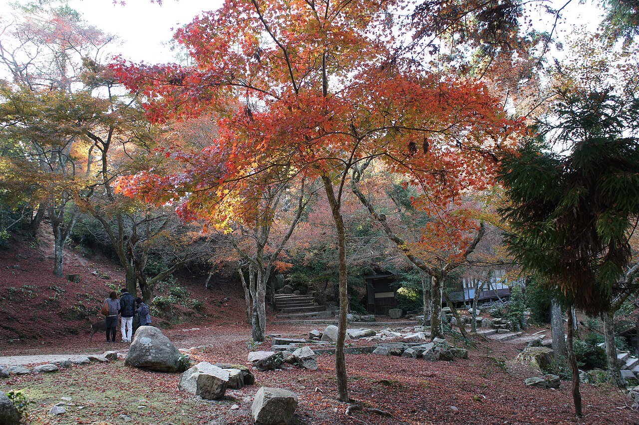 宮島-紅葉谷 - panoramio (1).jpg